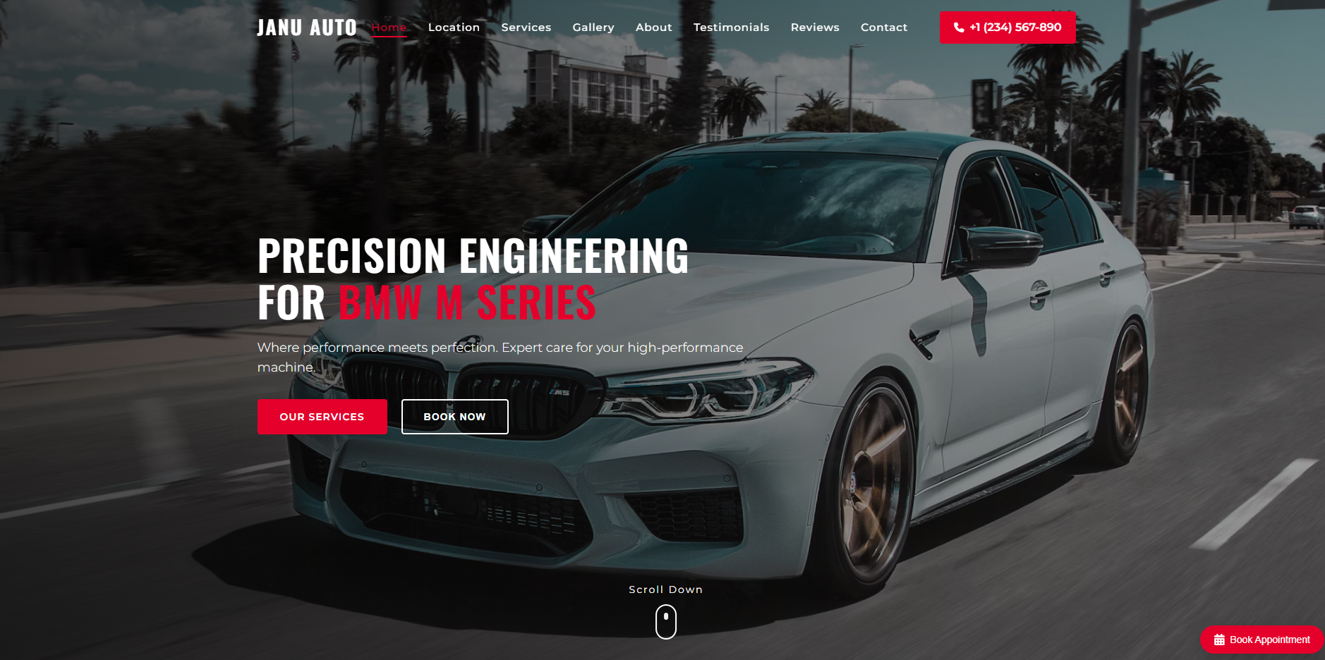 Janu Auto Garage Website